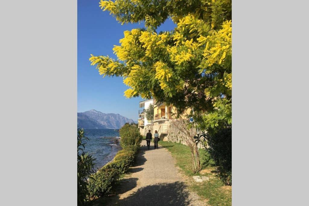 Villa Francesca-Grande Appartamento In Riva Al Lago เบรนโซเน ซูล การ์ดา ภายนอก รูปภาพ